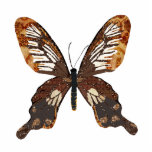 Escultura de la foto de la mariposa de Golddust Escultura Fotografica