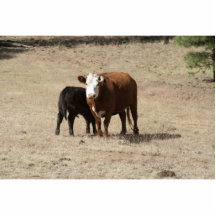 Escultura de la foto de la vaca y del bebé escultura fotográfica