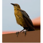 Escultura de oro de la foto del pájaro escultura fotográfica