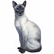 Escultura del gato siamés del punto azul escultura fotografica