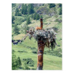 Escultura del tronco de árbol  -- Postal