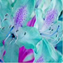 Escultura floral azul de la foto esculturas fotográficas