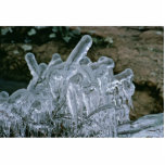 Esculturas de hielo esculturas fotográficas