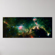 Espacio de la NASA de la nebulosa de la gaviota Poster