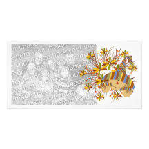 Espantapájaros Photocard Tarjetas Fotograficas