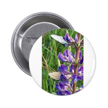 especie y fuego en peligro amenazantes pins