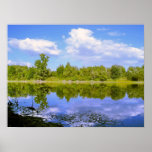 Espejo del lago en la primavera posters