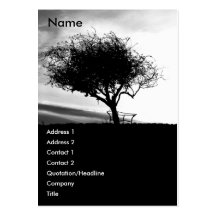 Espino de Glastonbury. Árbol. Blanco y negro. Plantilla De Tarjeta De Visita