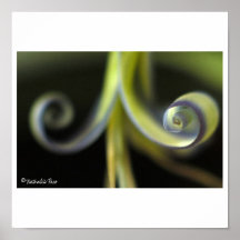 espiral poster