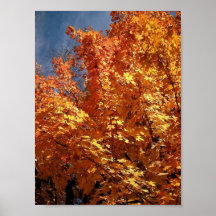 Esplendor del otoño de Nueva Inglaterra Poster