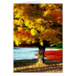 Esplendor del otoño tarjeton