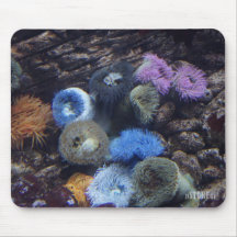 Esplendor HD Mousepad - arrecife de coral del océa Tapete De Ratones