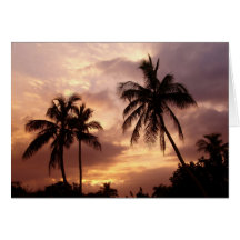Esplendor tropical I Felicitacion