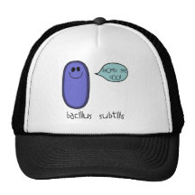 Espora Gorros
