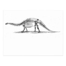 Esqueleto del Brontosaurus Tarjeta Postal