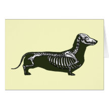 esqueleto del dachshund felicitacion 