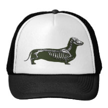 esqueleto del dachshund gorros  