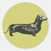 esqueleto del dachshund pegatina redonda