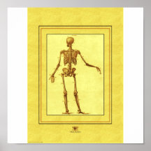 Esqueleto Posters