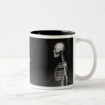 Esqueleto - taza de Halloween