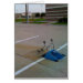 Frente