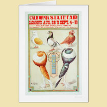 Estado 1909 justo de California tarjetas