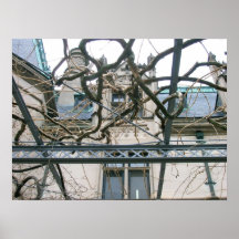 Estado de Biltmore Posters