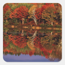 Estados Unidos, Michigan, península superior. Caíd Calcomanías Cuadradas Personalizadas
