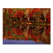Estados Unidos, Michigan, península superior. Caíd Postales