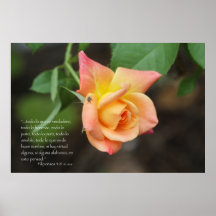 Estafa Rosa del 4:8 de Filipenses Posters