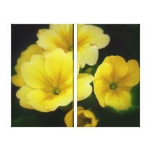 Estallidos de la lona envuelta amarillo impresiones en lona