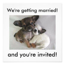 ¡Estamos consiguiendo casados! ¡, y le invitan! Invitación Personalizada