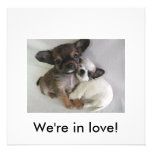 ¡Estamos en amor! Invitación
