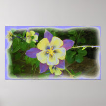 Estampado de flores de Columbine Poster