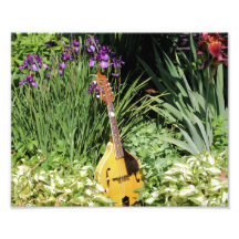 Estampado de flores del jardín 10x8 de la mandolin cojinete