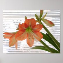 Estampado de flores impresiones