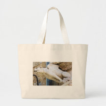 Estatua gótica del gargoyle - circa 1340 bolsas