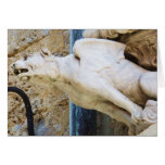 Estatua gótica del gargoyle - circa 1340 felicitación