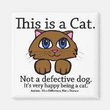Éste es imanes de un gato