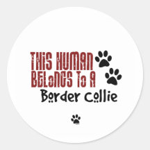 Este ser humano pertenece a un border collie pegatina redonda