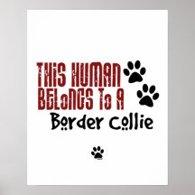 Este ser humano pertenece a un border collie poster
