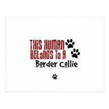 Este ser humano pertenece a un border collie tarjeta postal