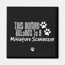 Este ser humano pertenece a un Schnauzer miniatura Imán De Frigorifico