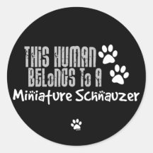 Este ser humano pertenece a un Schnauzer miniatura Etiquetas