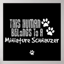 Este ser humano pertenece a un Schnauzer miniatura Poster