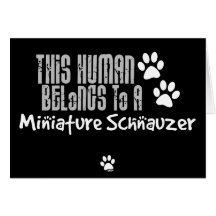 Este ser humano pertenece a un Schnauzer miniatura Felicitaciones
