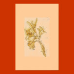 Estera del blanco del lirio de DaVinci posters