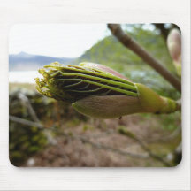 Estera del ratón de la planta tapete de ratones
