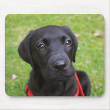 Estera negra del ratón de Labrador Alfombrilla De Ratones