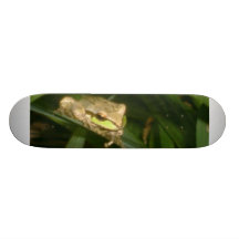 Estilo del Froggy Patines Personalizados